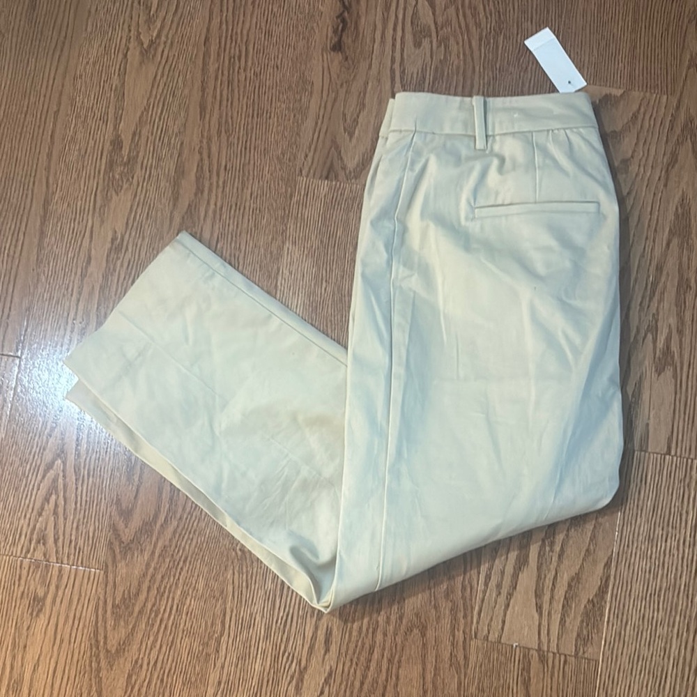 Ann Taylor Tan Crop Pants